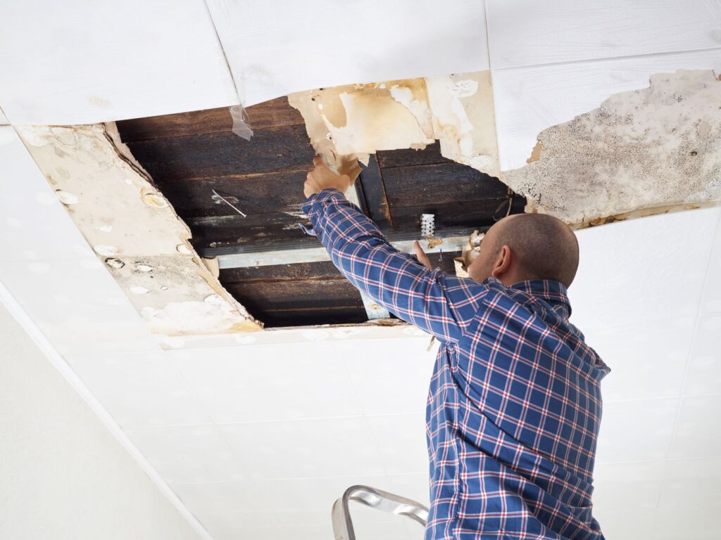 interior water damage experts