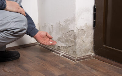 What Are Damage Restoration Services?