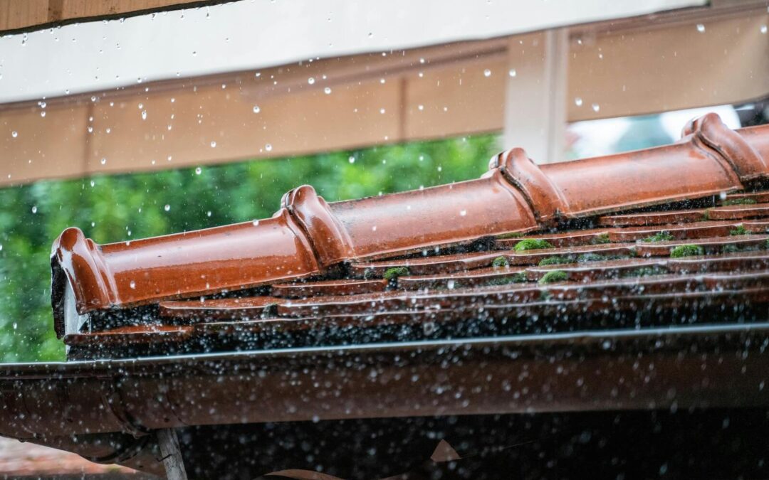 Why Arvada Homeowners Shouldn’t Ignore Minor Storm Damage
