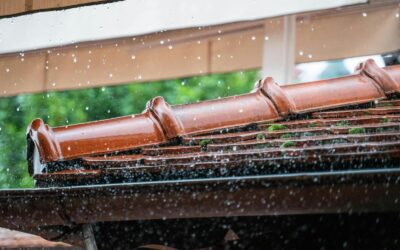 Why Arvada Homeowners Shouldn’t Ignore Minor Storm Damage