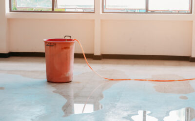 How Long Does Water Damage Restoration Take?