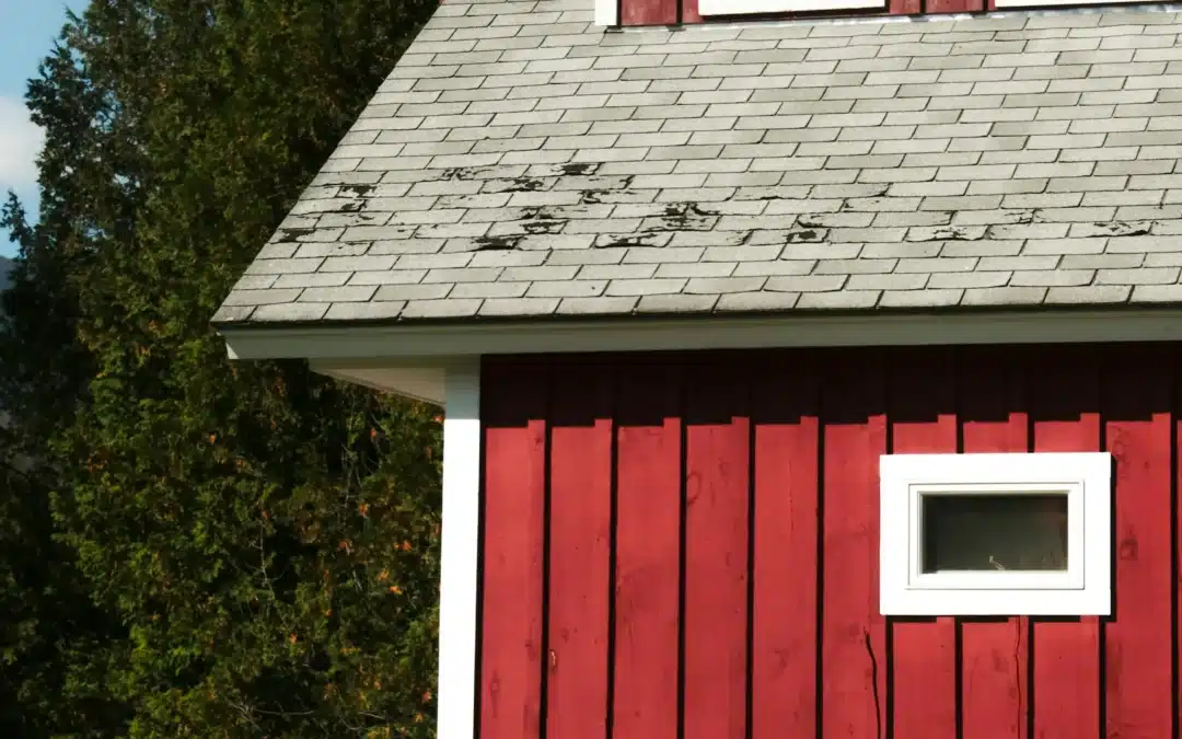 7 Signs Your Roof Needs Repair After a Storm