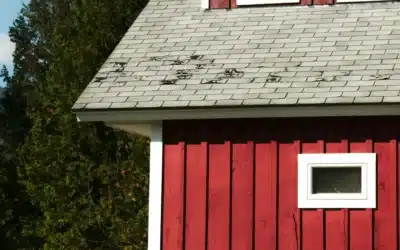 7 Signs Your Roof Needs Repair After a Storm