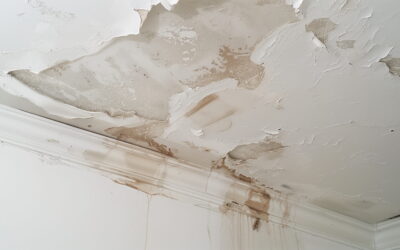What Happens After Water Damage Mitigation? A Guide to the Reconstruction Process