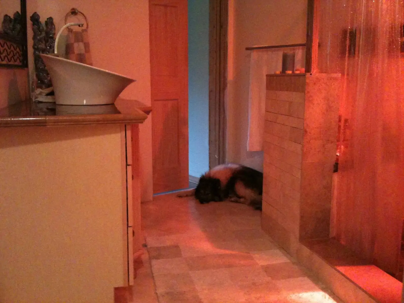cozy-bathroom-with-dog-relaxing cozy-bathroom-with-dog-relaxing