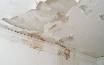 What Happens After Water Damage Mitigation? A Guide to the Reconstruction Process