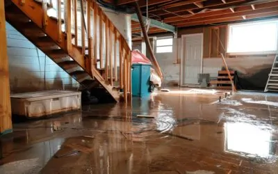 What Happens After a Basement Flood? From Cleanup to Rebuild